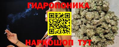 твердый Пугачёв
